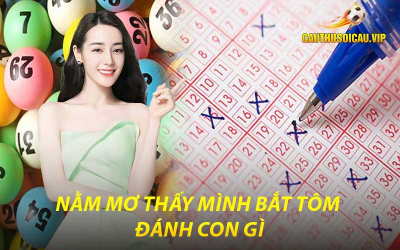 Nằm mơ thấy mình bắt tôm đánh con gì