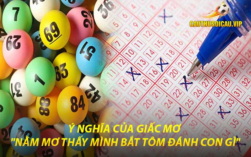 Nằm mơ thấy mình bắt tôm đánh con gì